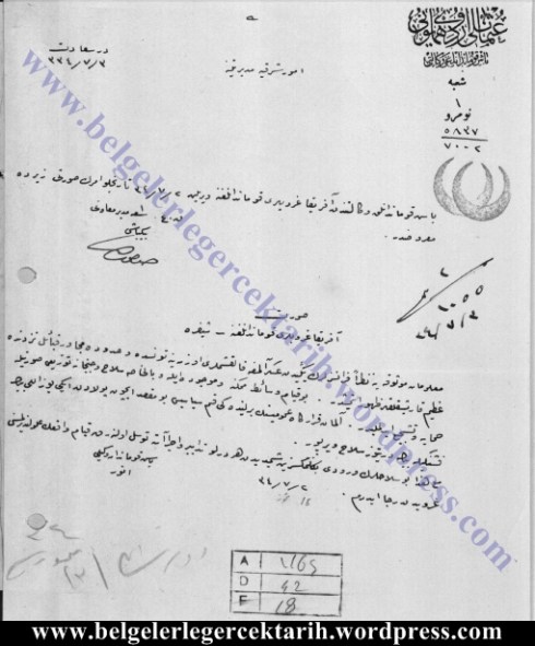 Enver pasa tunuslu müslümanlar anarsi halife hilafet cihad-i ekber Osmanli