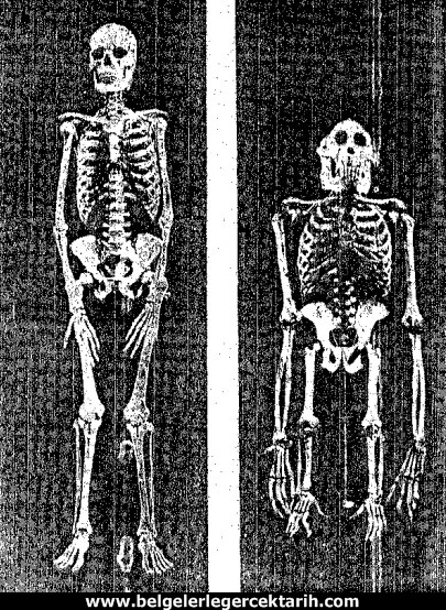 atatürk dönemi ders kitaplari darwinizm atatürk dönemi ders kitaplari evrim teorisi atatürk darwinizm, atatürk evrim teorisi atatürk ateist miydi, m. kemal darwinizm, atatürk dönemi din dersi atatürk din dersleri insan maymun goril